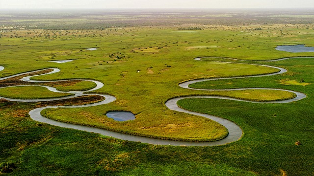 Okavangodelta